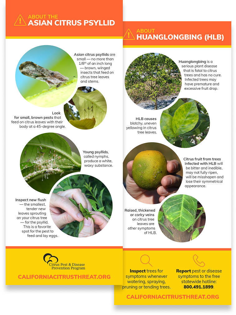 informational materials