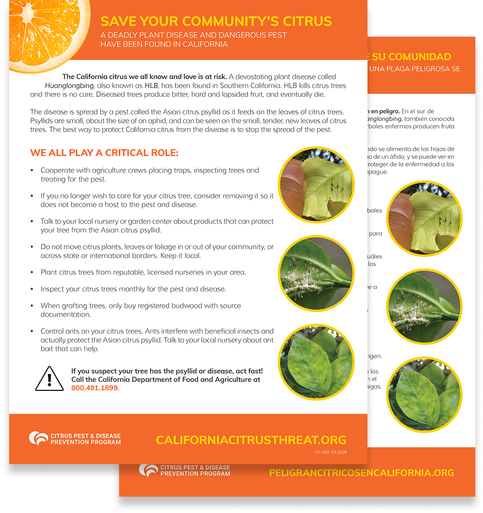 informational materials