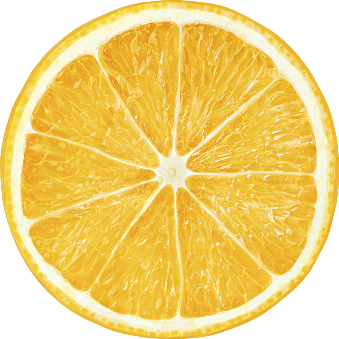 Citrus Image of an Orange