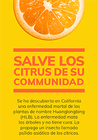 Citrus Bookmark - Spanish