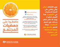 Brochure – Arabic
