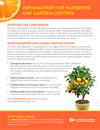 Citrus Retail Nursery Educational Flier