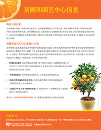 Citrus Chinese Retail Nursery Educational Flier