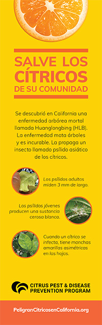 Citrus Bookmark - Spanish